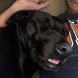 Meet your Posher, Joseph